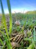 IMG_8833.jpeg