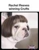IMG_0815.jpeg