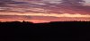 20241129_071142.jpg