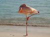 upload_2016-2-28_0-24-10.jpeg