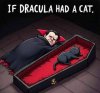durlacula cat.jpeg
