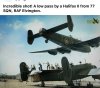 IMG_2527.jpeg
