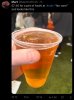 IMG_7033.jpeg