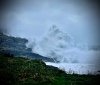 IMG_9677.jpeg