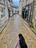 IMG_9691.jpeg