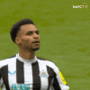 IMG_5630.gif