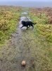 IMG_9734.jpeg