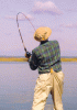 IMG_2925.gif
