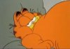 garfield_fatter_11_by_naruto3ever.jpg