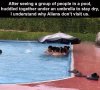 IMG_6674.jpeg