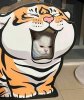 IMG_4918.jpeg