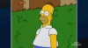 giphy (5).gif