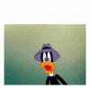 826weqy40bs61.gif