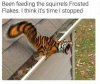 IMG_5200.jpeg