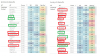 upload_2025-4-19_14-47-1.png