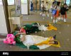 two-irish-fans-sleep-on-the-floor-at-niigata-station-in-japan-the-G76HGC.jpg