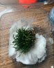 IMG_8657.jpeg