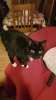 upload_2025-5-22_22-58-1.jpeg
