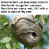 FB_IMG_1748413509832.jpg