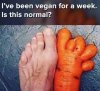 FB_IMG_1748708692177.jpg