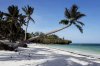 watamu beach palms.jpg