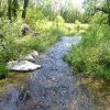 Creek.jpg