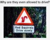 FB_IMG_1749126185478.jpg