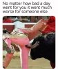 IMG_3465.jpeg