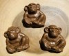 chocolate-chimpanzee-(3)-576-p.jpeg