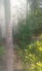 20160328_103748.jpg