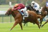 fatracehorse.jpg