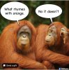 FB_IMG_1752483549283.jpg