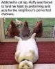 IMG_6205.jpeg