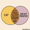 IMG_6267.jpeg