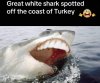 IMG_6411.jpeg