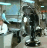 tumblr_c4d1a1a66f87c8d4ca695a66c036a157_8949d09f_400.gif