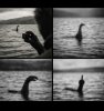 IMG_6469.jpeg
