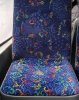 IMG_6483.jpeg