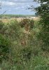 IMG_1830.jpeg