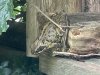IMG_3281.jpeg