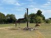 IMG_9218.jpeg