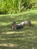 IMG_9232.jpeg