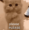 IMG_6126.gif
