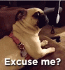 upload_2025-8-14_17-42-24.gif