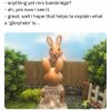 IMG_6653.jpeg