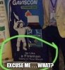 IMG_6667.jpeg