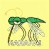 bugs.gif