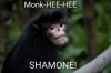 Myanmar-snub-nosed-monkey-2-Yin-Yan-used-with-permission-resize2~2.jpg