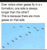 IMG_6752.jpeg
