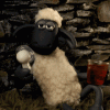 shaun-the-sheep6-shaun-the-sheep.gif